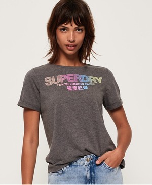 Superdry City Nights Boxy Női Pólók Szürke | RNEYU9157